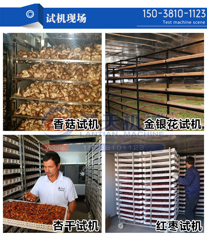 試機現(xiàn)場
